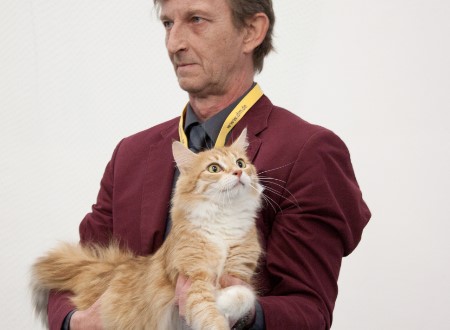 Ein Bild, das Person, Katze, Mann, sitzend enthält.

Automatisch generierte Beschreibung