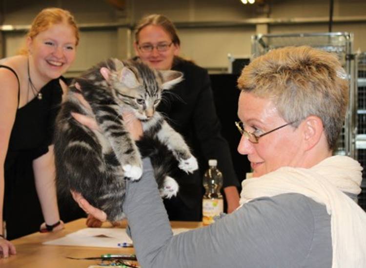 Ein Bild, das Person, drinnen, Mann, Katze enthlt.

Automatisch generierte Beschreibung