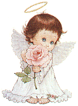 Rose02
