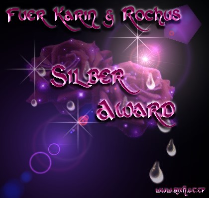 set1_silber_award_karin_rochus