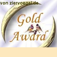 award Vgel.jpg