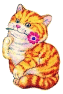 144.gif